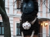 Экскурсия 'Секретный Киев 16.01.2011