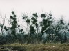 Фотоотчёт о вылазке на Щекавицу с Наталией Поповой