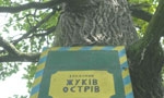 Жуков остров (полуостров)